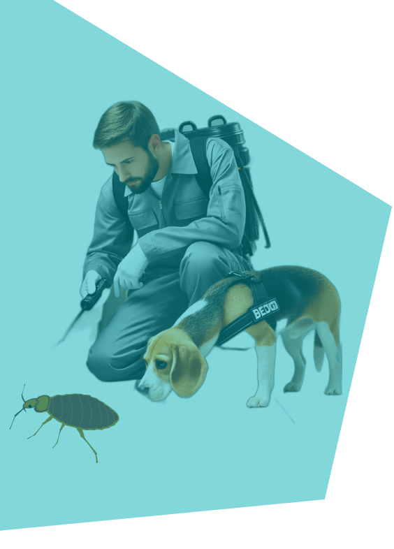 detection-canine-punaises