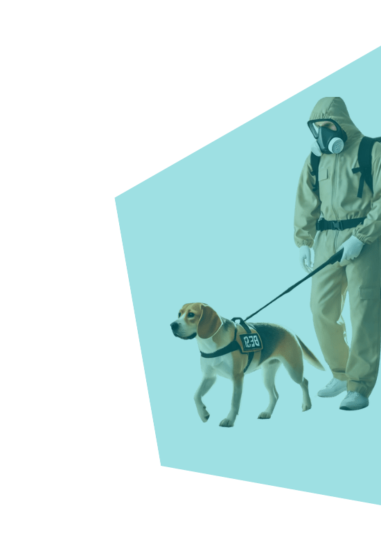 detection-canine-punaises1